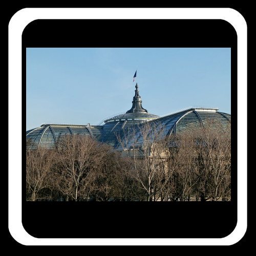 grand palais paris